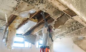 Best Mold Remediation for Healthcare Facilities  in Loch Sheldrake, NY